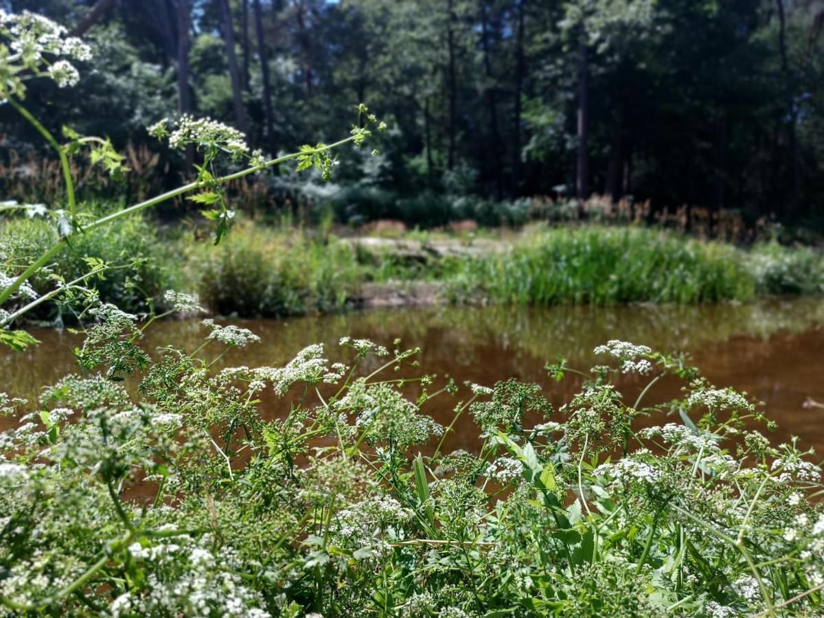 Vakantiehuis De Bakspieker Haaksbergen Exteriér fotografie